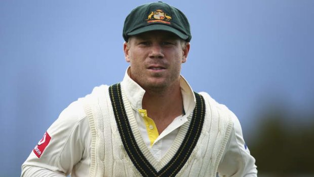 Dave Warner will rekindle his opening partnership with Chris Rogers.