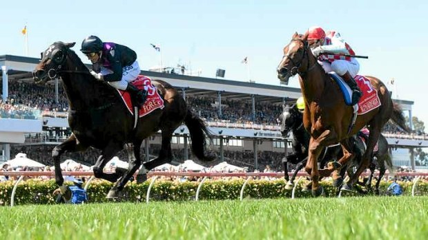 Copybook: Damien Oliver rode a sublime race to get Fiorente home in the Melbourne Cup.