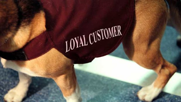 Loyal customers are highly profitable.