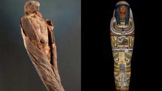 A mummified hawke and mummy cartonnage that will be on display during the exhibition.