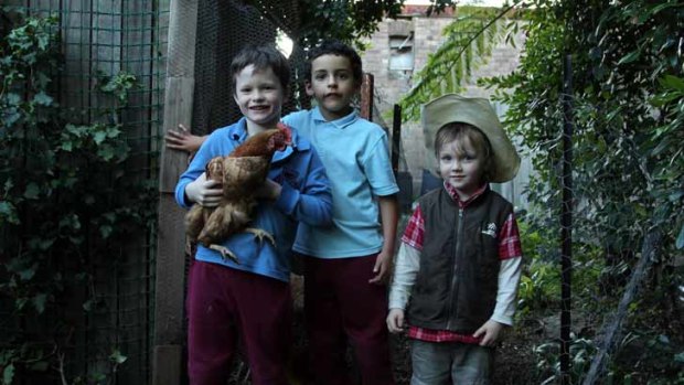 Neighbours ... Liam, 7 (left) with chicken, Jaali, 7, and Joe, 4, in Joe's backyard.