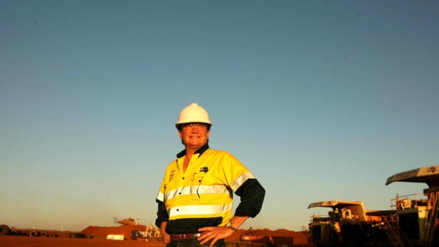 Mining billionaire Andrew Forrest has taken a swipe at Treasurer Wayne Swan.