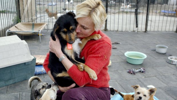 Monika Biernacki cuddles Jericho, whose owner tried to drown him, at her animal shelter, Monika's Doggie Rescue in Ingleside.