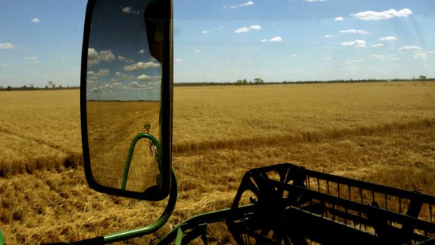Prospects for wheat and other agricultural commodities look healthy.