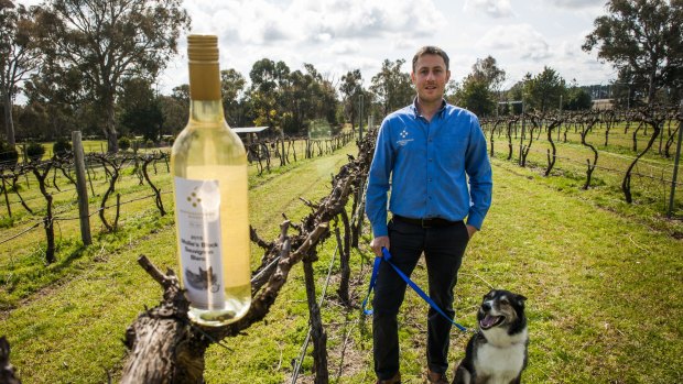 Robbie Makin with his RSPCA rescued dog Mollie, who hosted a dog day to launch her first wine, Mollie's Block Sauvignon Blanc.