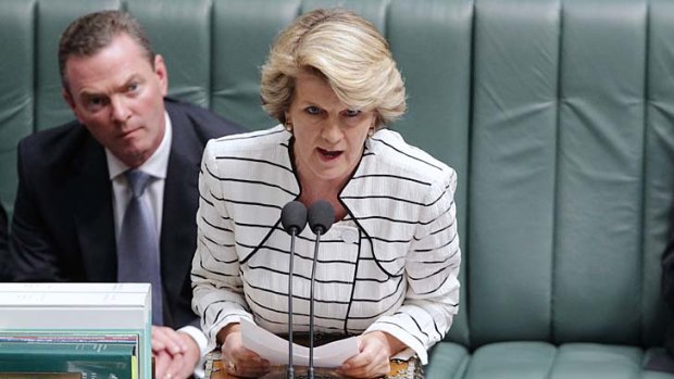 Julie Bishop ... on the defensive.