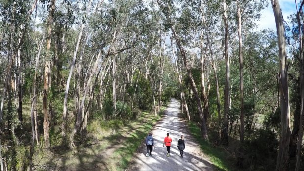 The Lilydale to Warburton Rail Trail at Seville.