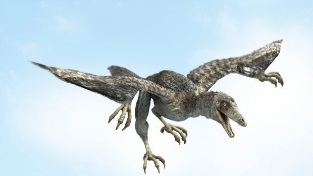 'First bird': Archaeopteryx was discovered in Germany in the 1860s. Like the new find changyuraptor yangi, it had feathers on its hind limbs.