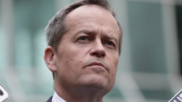 Opposition Leader Bill Shorten: "I believe Putin knows more about what happened with MH17 than he's let on."