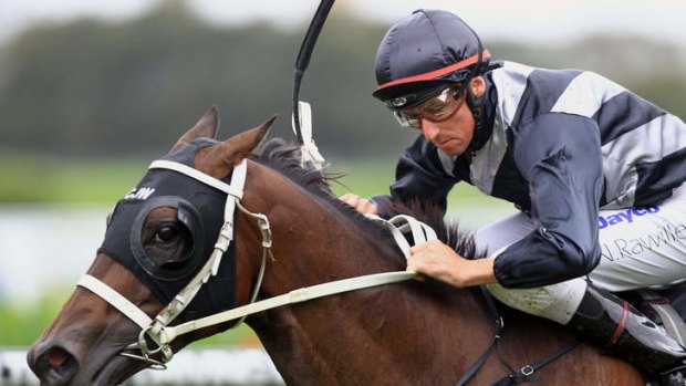 Form horse: Champion jockey Nash Rawiller will give class mare Red Tracer every chance in the Tatt's Tiara.