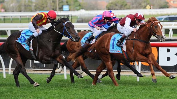Brett Prebble (in pink and blue), on Fast'n'Rocking, tries in vain to squeeze through on the inside as Kerrin McEvoy pulls ahead on Safeguard.
