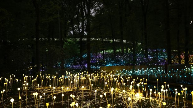The lights will create an immersive landscape.