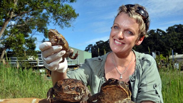 Julie O’Connor with some of the pests collected last Toad Whacking Day that have been kept on ice.