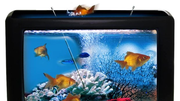 Surfing the tides of change ... you could turn your old TV into an aquarium.