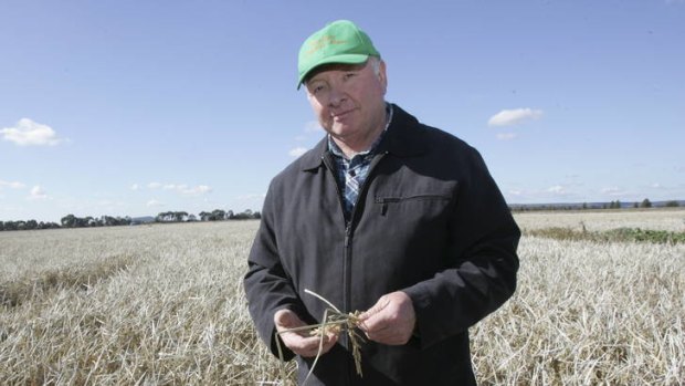 Making a name for himself ... Peter Randall is now able to sell rice under his own label.
