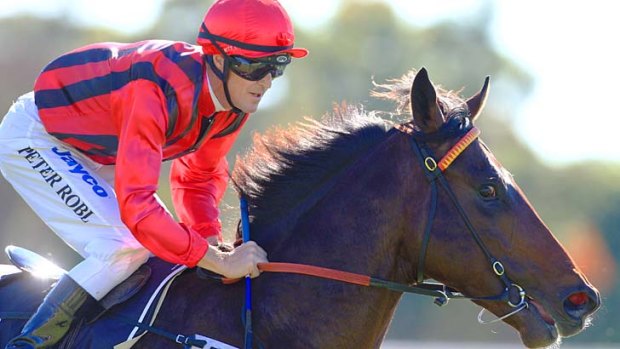 Talented three-year-old colt Your Song could be the one to again give Gooree that winning feeling at the highest level.