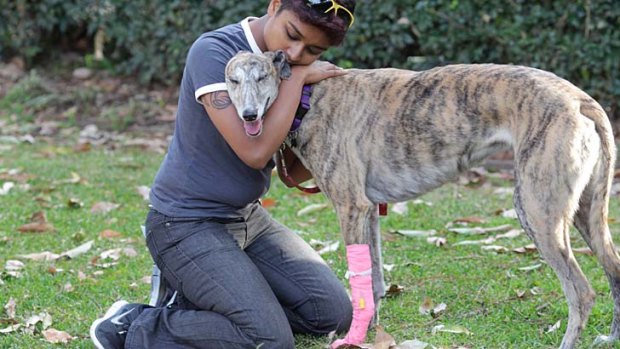 Greyhound, Mandy, who was revived by paramedic Sandy Macken after a fire   with her relieved owner Bianca Otley.