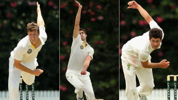 Three's company &#8230; from left, James Pattinson, Mitchell Starc and Ben Cutting will all be bowling at skipper Michael Clarke in the Gabba nets this week as they seek to make their Test debuts against New Zealand. Photos: Getty Images