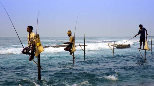 Future perfect ... fishers on stilts at Ahangama, east of Galle.