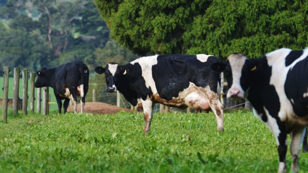 Hopes of slashing trade barriers for Kiwi cheese, butter and milk were dashed.