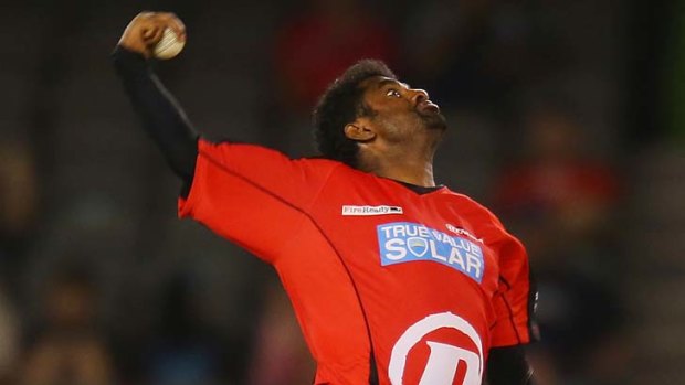 Paradox ... Murali Muralitharan is among the top BBL wicket-takers.