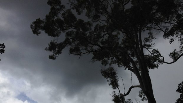 A menacing black cloud with some thunder went over Hornsby this afternoon.