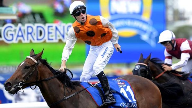 Standing tall: Tommy Berry rises in the saddle to celebrate his biggest win after producing a perfect ride to guide Overreach to victory in the Golden Slipper.