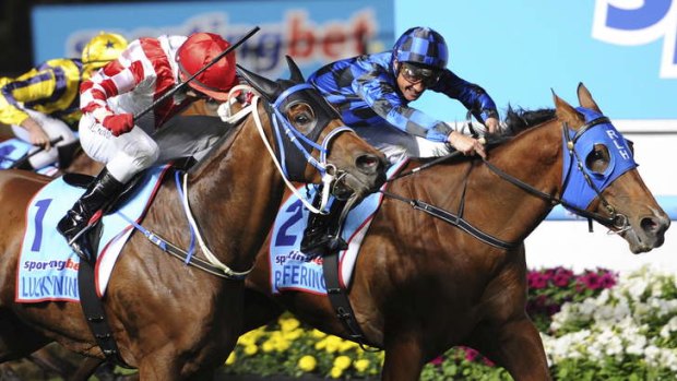 Redemption: Buffering wins a group 1 at his 18th attempt, in the Manikato at Moonee Valley.