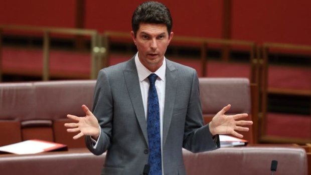 Urged senators to reconsider their vote: Greens Senator Scott Ludlam. 