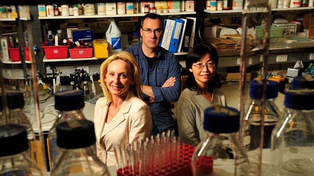 Monash University researchers Professor Sharon Ricardo, Dr Bi Song and Dr Andrew Laslett have created stem cells from a human kidney.