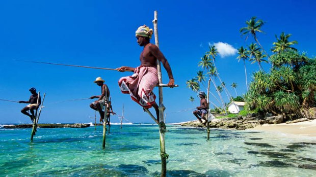 Sri Lankan stilt fishermen.