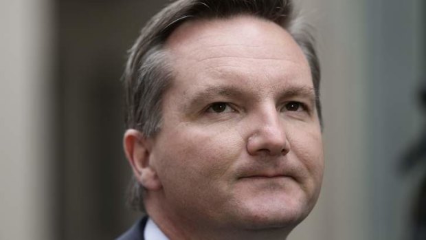 Acting Labor leader Chris Bowen said Kevin Rudd did not undermine his replacement Julia Gillard.
