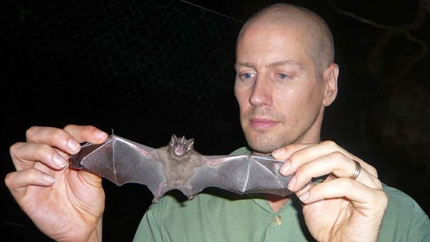 Dr Bryan Fry holds a vampire bat.