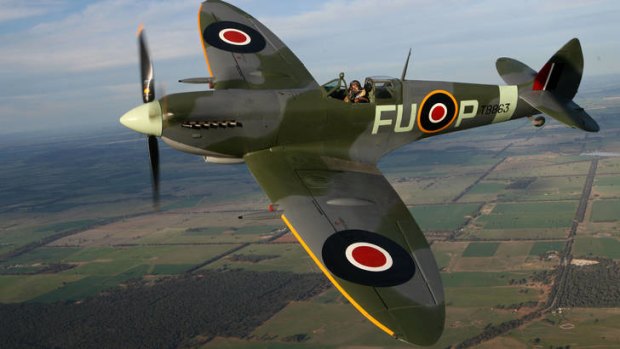 Rare breed ... the retrieval of the planes would dramatically increase the number of airworthy Spitfires.