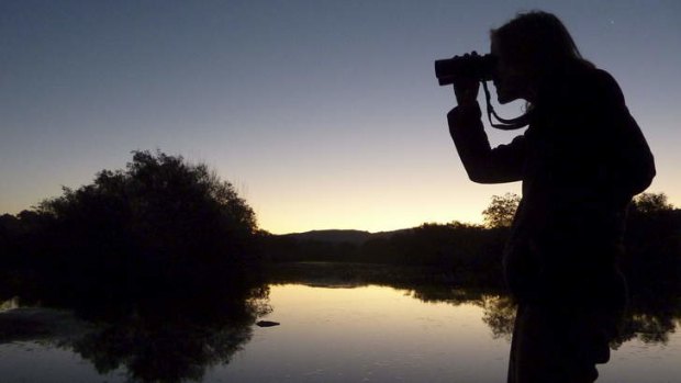 Woo O'Reilly surveys the Murrumbidgee River near Tuggeranong on dusk for signs of a platypus.