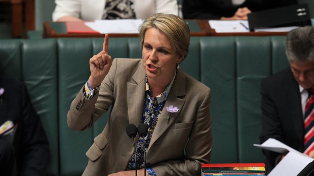 Poster woman ... Labor Minister Tanya Plibersek has been labelled 'tacky' over the posters.