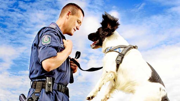 It's a dog's life...  NSW Police Sergeant Dave Wright and Bertie.