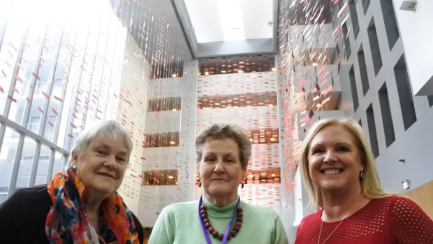 Child expert Dr Sue Packer, Protective Behaviours ACT president Marg Hourigan and cybersafety advisor Susan McLean at a child protection conference at the Hotel Realm in Canberra on Friday.