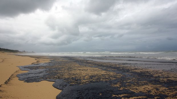 Oil, which escaped from the container ship Pacific Adventurer, contaminates a Sunshine Coast beach.