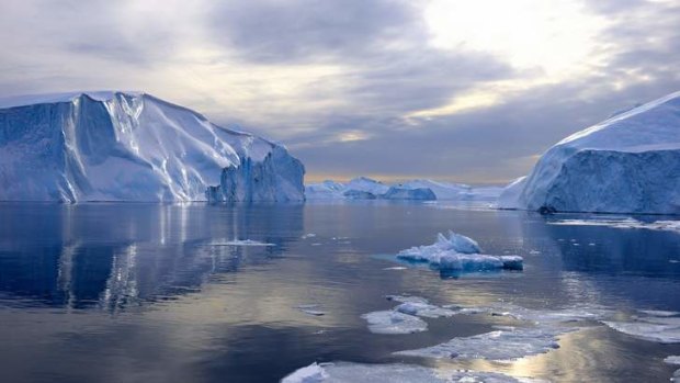 Changing times: icebergs near Ilulissa.
