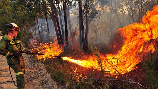 A wet summer has left Queensland with a higher fuel load and possibly greater fire hazard as the weather warms up again.