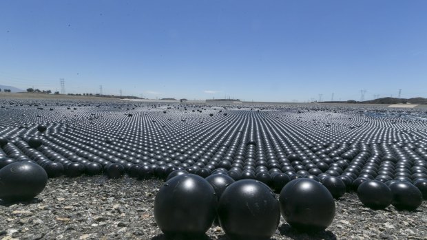 Some of the more than 90 million plastic balls that will cover the Los Angeles Reservoir.