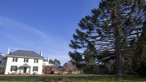 Preserved: the manor house, verdant grounds and towering Bunya pine at Brickendon Estate.