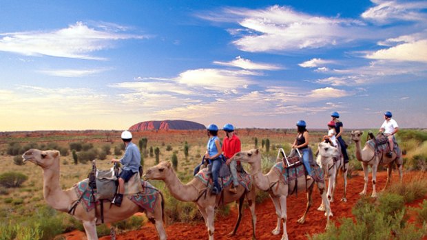 Decisions decisions ...  camels are an alternative way to see Uluru.