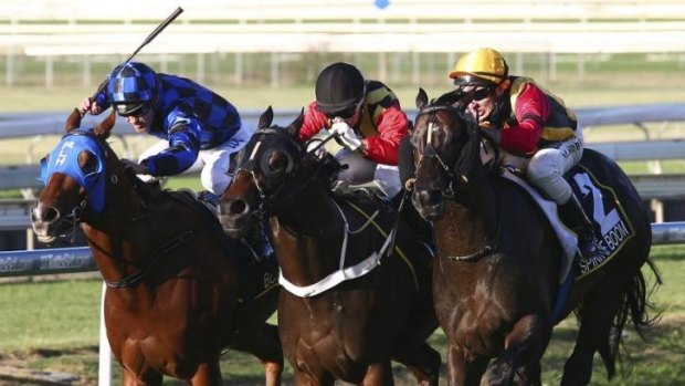 Tight finish: Spirit Of Boom (right) edges out his stablemate Temple Of Boom (centre) and Buffering (left) to win the Doomben 10,000 on Saturday.