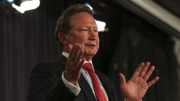 Chairman of Fortescue Metals Group Andrew 'Twiggy' Forrest.