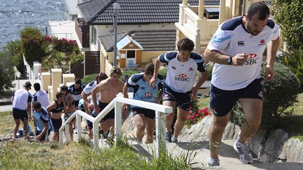 Ordeal &#8230; Michael Cheika leads on South Coogee's dreaded steps.