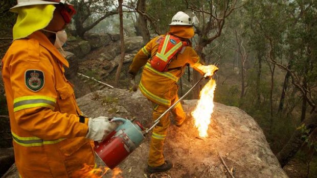 Banksia bombing: NSW Rural Fire Service Crews  in property protection mode throw burning Banksia cones off an escarpment as they commence a back burn north of the Bells Line of Road between Berambing and Bilpin.