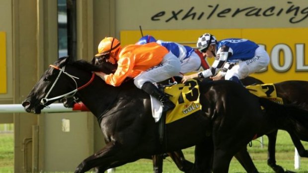 Winning double: James McDonald scores on Mecir for the Hawkes brothers in the Newcastle Newmarket.