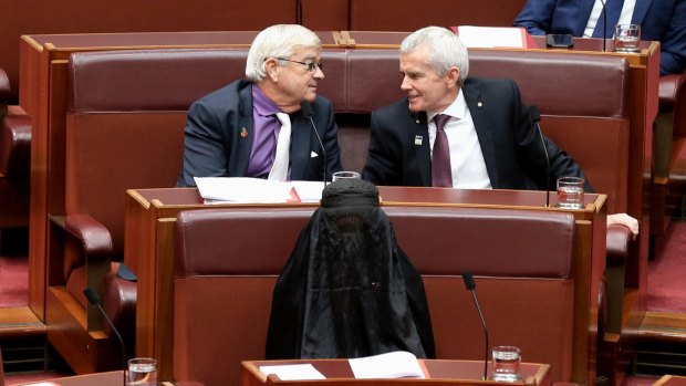 Pauline Hanson wore a burqa into the Senate this week.